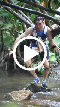 BIB:  <button type="button" onclick="openModal(27808928)" class="btn btn-primary btn-sm float-right" data-toggle="modal" data-target=".modal-high-quality">
                <i class="fa fa-download"></i> Download
                </button>